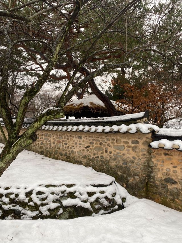 눈이와도 예쁜 마을❄️ <아산 외암민속마을> 