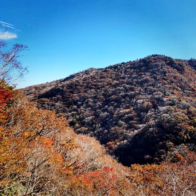 해발 1950m 남한에서 가장 높은산