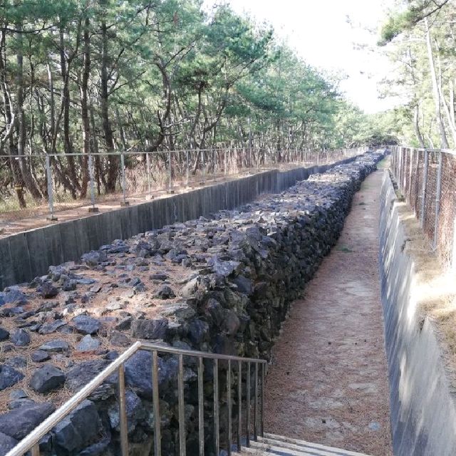 【福岡市】歴史を感じる史跡🎶「元寇防塁」