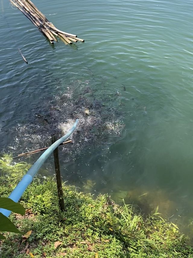 เกาะทวด ล่องเรือได้เที่ยวได้บุญ