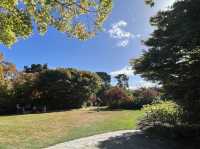 Dunedin Botanic Garden 但尼丁市區植物園，野餐散步好地方