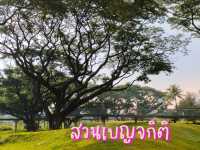 สวนป่าเบญจกิติ