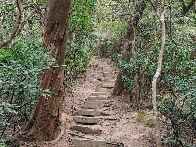 唔係淨係老人先可以去既山 ~ 老人山