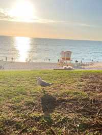 Whadjuk Trails! Cottesloe Fine Sand Beach🤩