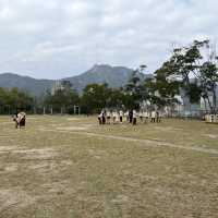 日落格仔山 懶人打卡勝地