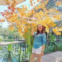 Cafe Suphattraland Rayong