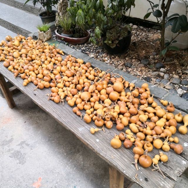 打卡藝術好去處---大芬油畫村