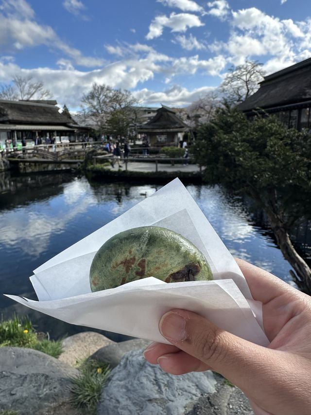 Little cute village with Mt Fuji view 