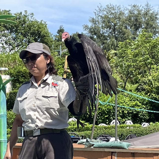 海洋公園😁夏日玩樂之旅