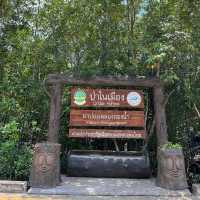 เที่ยวชมธรรมชาติ ท่าปอม คลองสองน้ำ