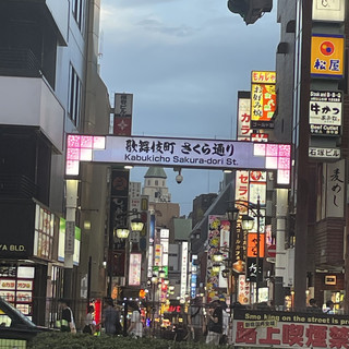 歌舞伎町, 日本, 少年州