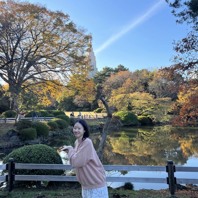 일본의 센트럴파크, 도쿄 신주쿠쿄엔 