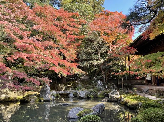 【京都】絶景ながらマイナー観光スポット！蓮華寺をご紹介