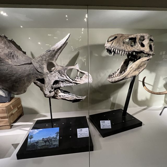 台灣自然科學博物館