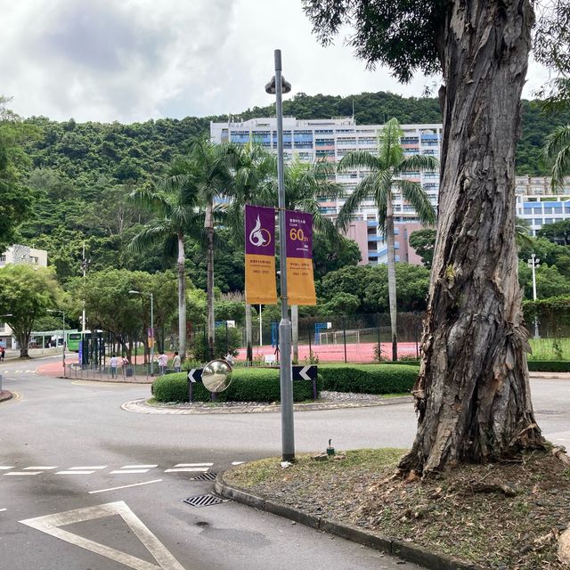 【香港中文大學】暑假尾巴遊，限時優惠！