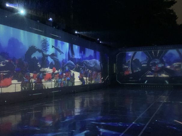 더운 여름밤을 아름답게 빛으로 수 놓은, 디피랑