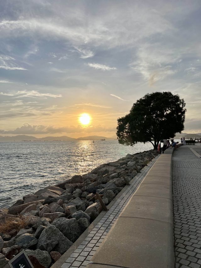 홍콩 ‘노을+야경’ 맛집, 피크닉이 가능한 서구룡문화지구🌅