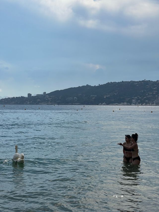 BEACH CLUB IN ANTIBES 🇫🇷🫶😍⛱️👙