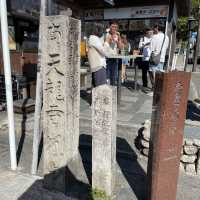 【京都府】人気の竹林の小径をのんびりお散歩！