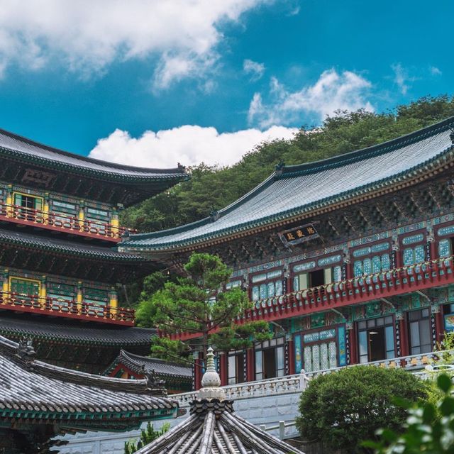 힐링 산책로가 있는 부산 삼광사 편백나무숲 