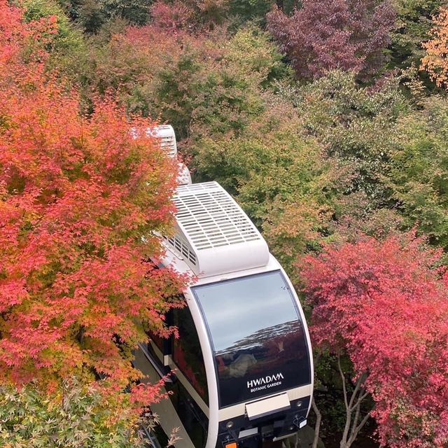 Beautiful autumn view of Hwadam botanicgarden