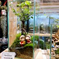 Naug Just Plants Hydroponic Houseplants