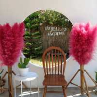 เที่ยวคาเฟ่สวนสวย @ปลายนาฟลาวเวอร์