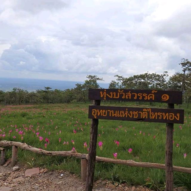 ทุ่งบัวสวรรค์