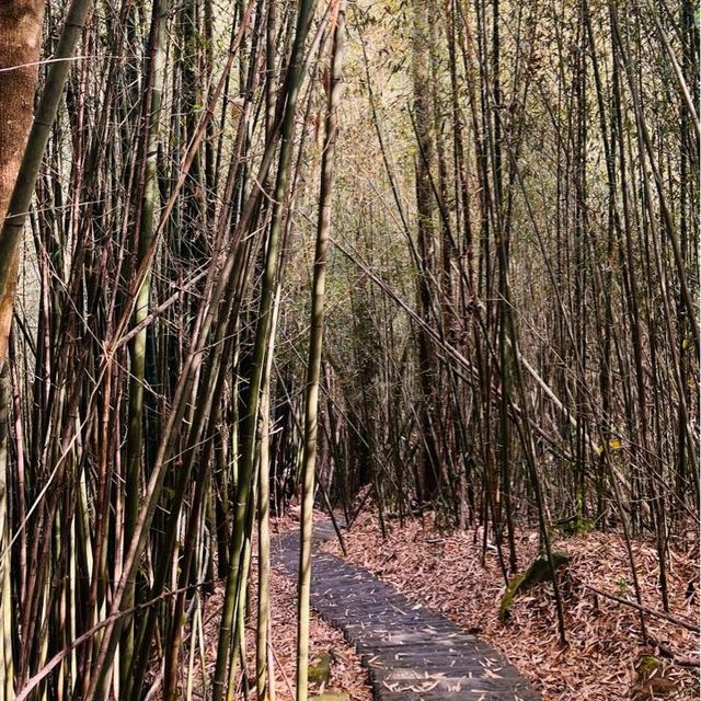 步道