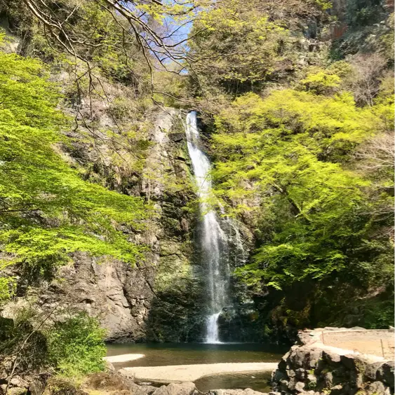 大阪で絶景の自然の中をハイキング【箕面大滝】