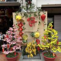 A self-walk around Chinatown 