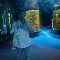เที่ยวปีนัง ในเมือง ที่ The top Komtar