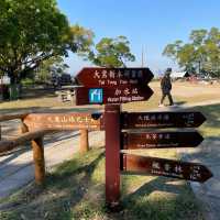 夜行俠之元朗大棠楓葉林