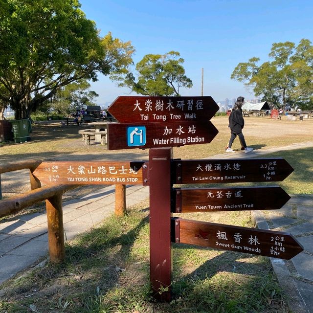 夜行俠之元朗大棠楓葉林 夜行俠之元朗大棠楓葉林