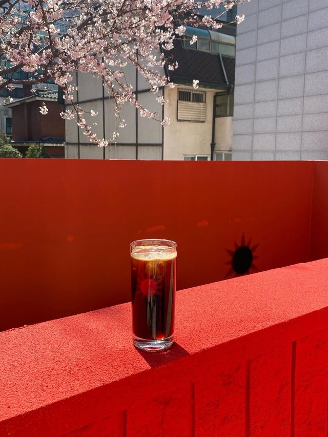 🌸벚꽃 액자뷰 사진을 찍을 수 있는  도산공원 카페 “바이칼리아”  