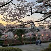 The amazing Kenroku-en Garden