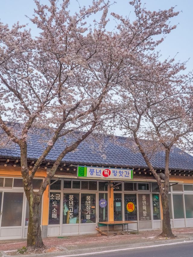 도란도란 이야기 나누며 걷기 좋은 오릉 돌담길