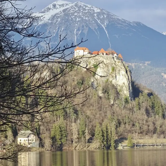 슬로베니아 가볼만한 곳 : 블레드 성