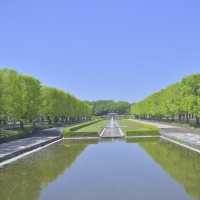 春にオススメ「昭和記念公園」