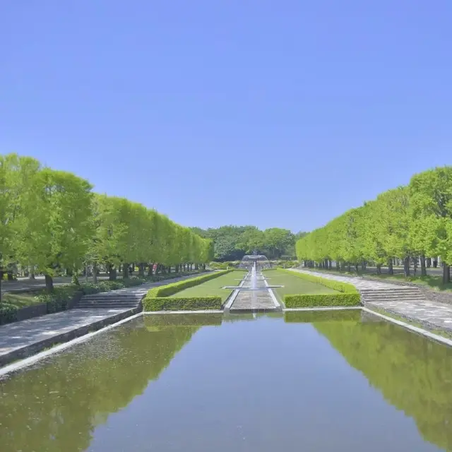 春にオススメ「昭和記念公園」