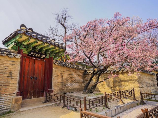 韓國世界遺產之一🇰🇷昌德宮