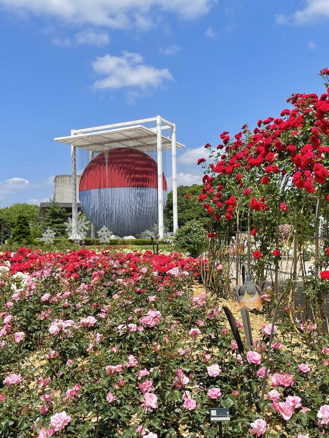 올림픽공원 로즈아워페스타에 초대합니다🌹