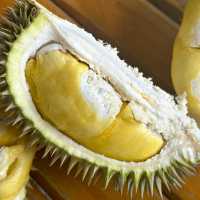 ตะลุยกินทุเรียนหน้าสวน จ. พังงา