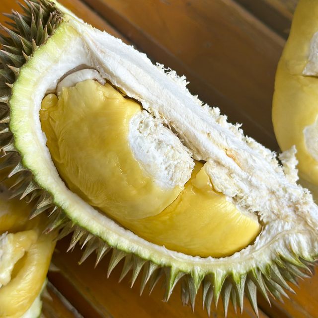ตะลุยกินทุเรียนหน้าสวน จ. พังงา