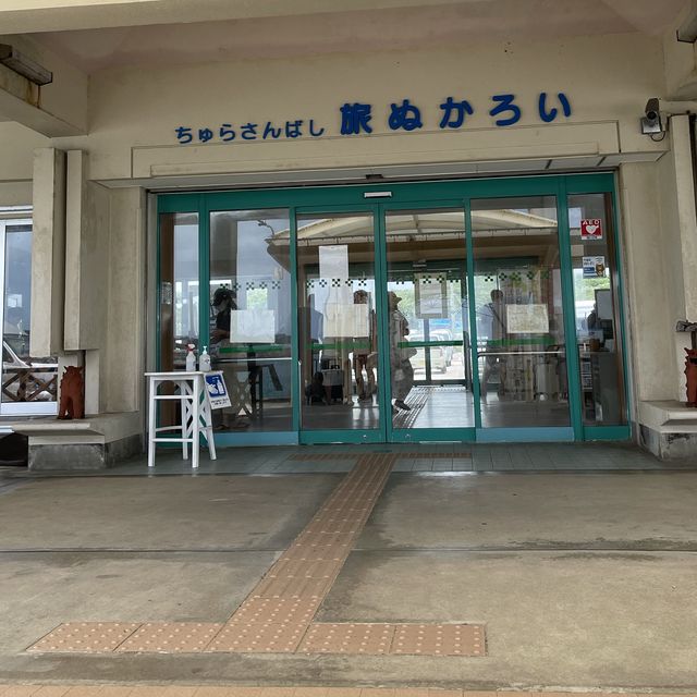 美しき小浜港