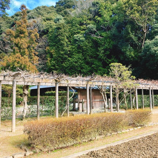 【三重】隠れたパワースポット