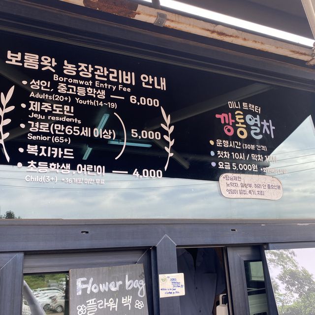서귀포 힐링 여행지, 보롬왓🌸✨