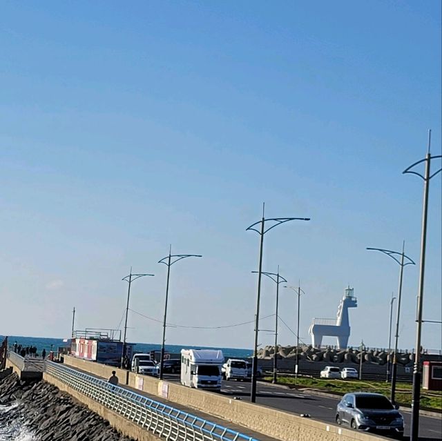 두근두근여름휴가 제주도 여행 이호테우 해변