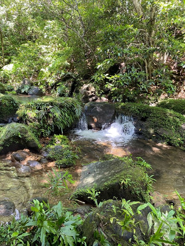 沖縄・西表島【奥ゲータの滝】