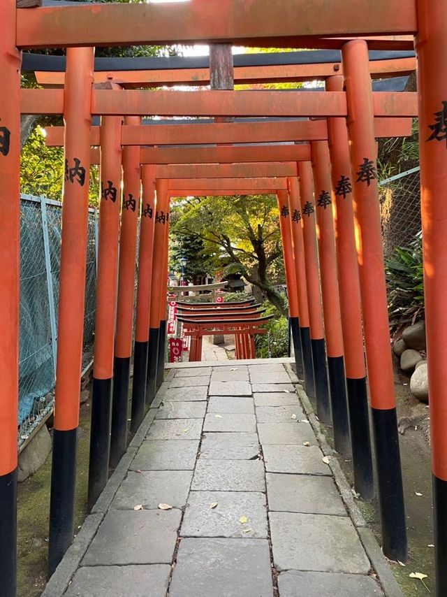 【東京都/花園稲荷神社】上野公園のフォトスポットとなっている神社